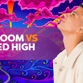Mushroom vs Weed High