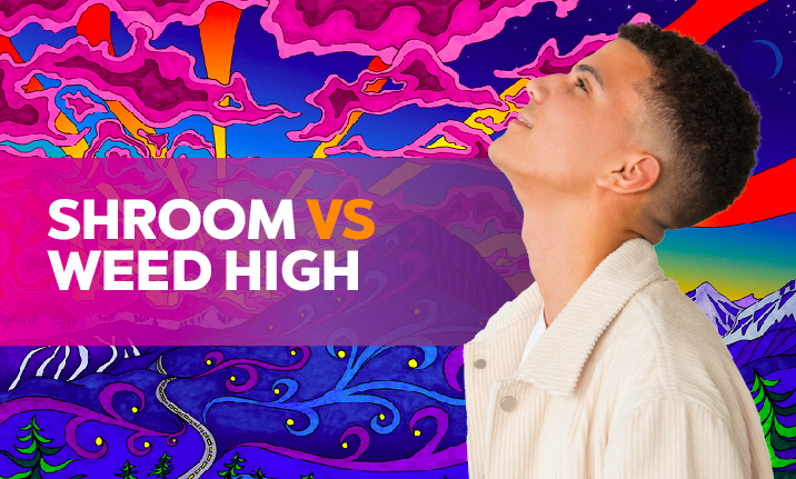Mushroom vs Weed High